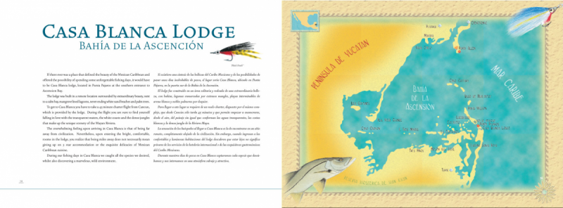 LIBROS PARA FLY FISHING/  FLY FISHING BOOKS - Daniel Nieco